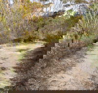 Red Rocks trig walking track - Accommodation Newcastle
