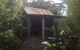 Roraima Nursery And Cafe - thumb 1