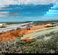 Shark Bay World Heritage Drive - Accommodation Newcastle
