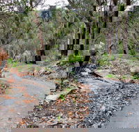 Stepping Stone Crossing to Cascades Trail - Accommodation Newcastle