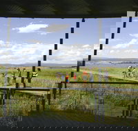 Tamar Island Wetlands Centre and Reserve - Accommodation Newcastle