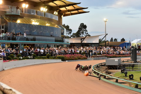 The Meadows - Accommodation Newcastle 1