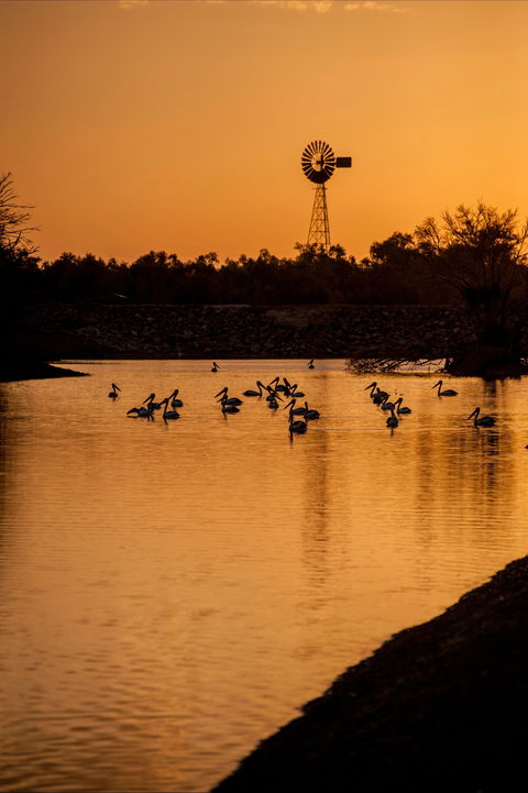 Thomson River, Longreach - Accommodation Newcastle 2