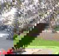 Trangie Big Billy - Accommodation Newcastle