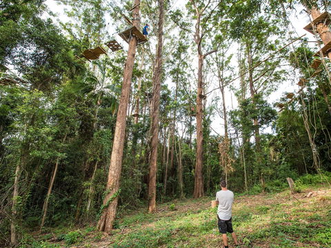 TreeTop Challenge - Sunshine Coast - Accommodation Newcastle 1