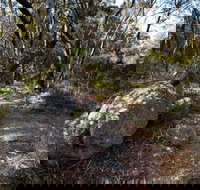 Tuross Falls walking track - Accommodation Newcastle