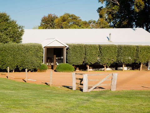 Vasse Virgin - Accommodation Newcastle 1