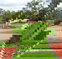 Vines Mini Golf - Accommodation Newcastle