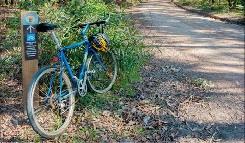 Walter Hood Ride From Cudmirrah - Accommodation Newcastle 0