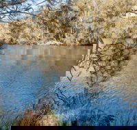 Wandandian Creek picnic area - Accommodation Newcastle