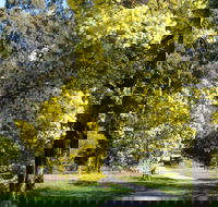 Wattle Park - Accommodation Newcastle