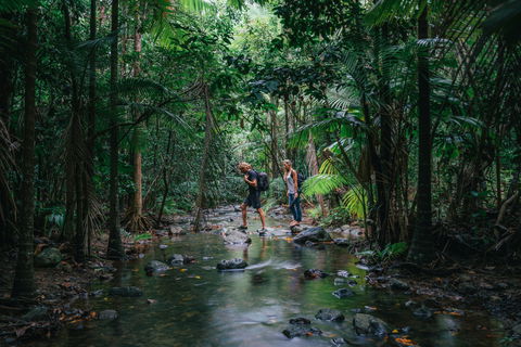 Wet Tropics Rainforest - Accommodation Newcastle 2