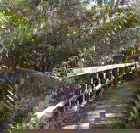 Awaba Bay Foreshore Walk - Accommodation Newcastle
