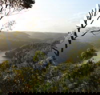 Berowra Valley National Park - Accommodation Newcastle