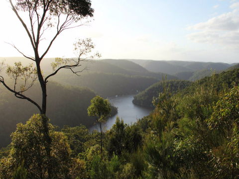 Berowra Valley National Park - Accommodation Newcastle 0