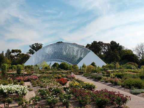 Bicentennial Conservatory - Accommodation Newcastle 0