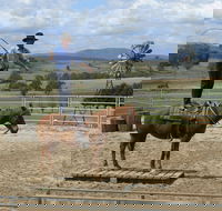 Boggy Creek Show - Accommodation Newcastle