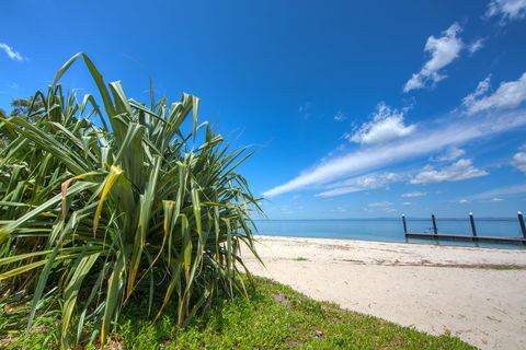 Bongaree Walkabout - Accommodation Newcastle 0