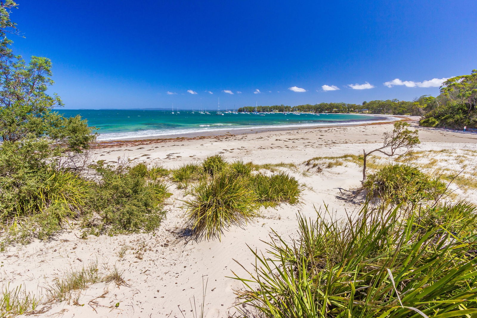 Callala Bay NSW Accommodation Newcastle