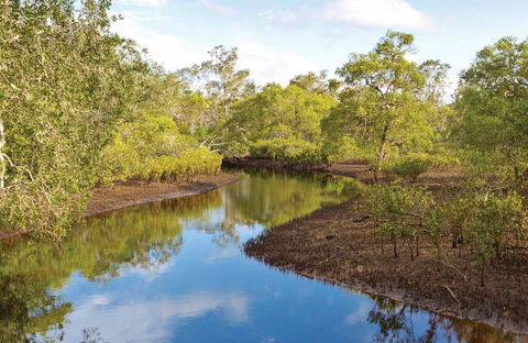Canoe Evans River Paddle Route - Accommodation Newcastle 0