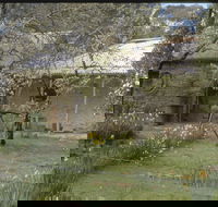 Castlemaine Diggings National Heritage Park - Accommodation Newcastle