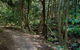 Cascades Walk - thumb 0