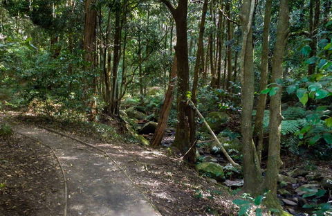 Cascades Walk - Accommodation Newcastle 0