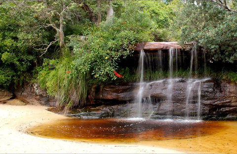 Collins Flat Beach - Accommodation Newcastle 0