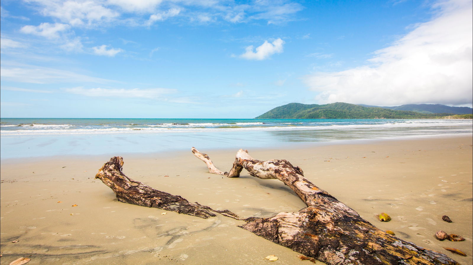 Cow Bay QLD Accommodation Newcastle