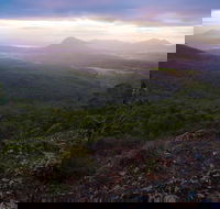 Cunninghams Gap and Spicers Gap Main Range National Park - Accommodation Newcastle