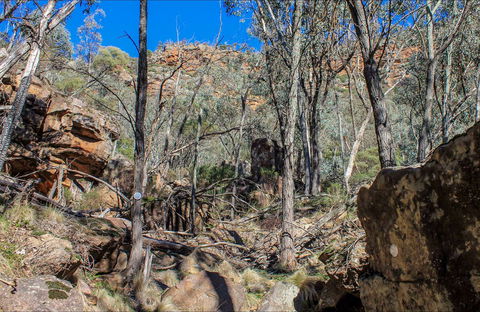 Eualdrie Walking Track - Accommodation Newcastle 0