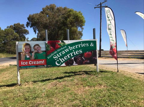 Fairfield Orchard - Accommodation Newcastle 0