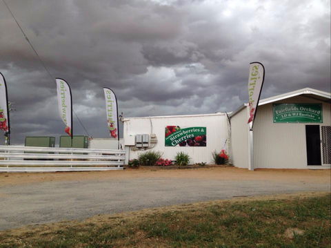 Fairfield Orchard - Accommodation Newcastle 2