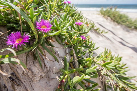 Fort Bribie - Accommodation Newcastle 0