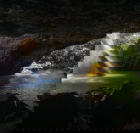 Gondwana Rainforests of Australia World Heritage Area