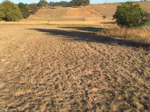 Gunning Golf Club - Accommodation Newcastle 0