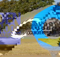 Hidden Rookwood Sculptures - Accommodation Newcastle