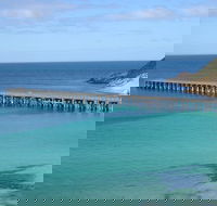 Innes National Park - Stenhouse Bay Lookout Guided Walk - Accommodation Newcastle