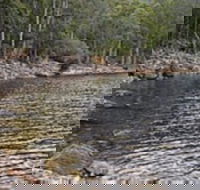 Lake Rowallan - Accommodation Newcastle