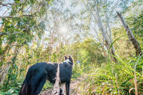 Lamb Island (Nguderoo) - Accommodation Newcastle 1