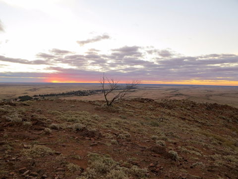 Mundi Mundi Plains - Accommodation Newcastle 0