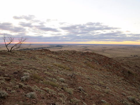 Mundi Mundi Plains - Accommodation Newcastle 2