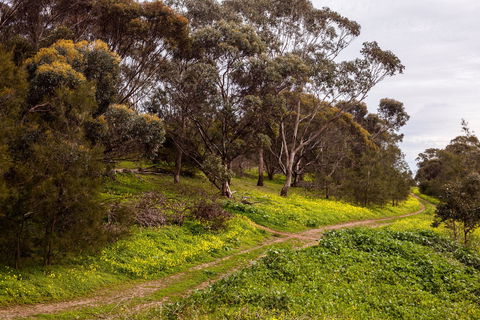 O'Halloran Hill Recreation Park - Accommodation Newcastle 1