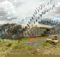 Patons Hut walking track - Accommodation Newcastle