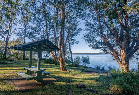 Queens Lake Picnic Area - Accommodation Newcastle 0