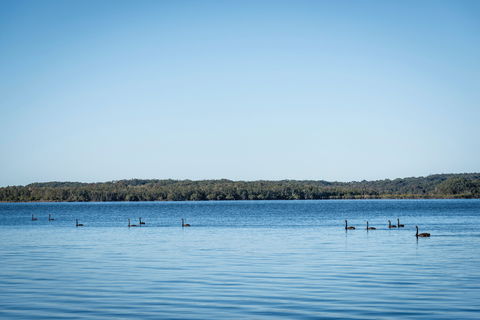 Queens Lake Picnic Area - Accommodation Newcastle 1