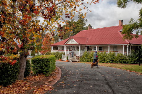 Ringsfield House, Nanango - Accommodation Newcastle 1