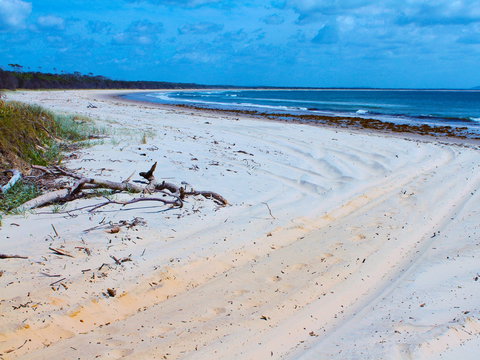 Shark Bay - Accommodation Newcastle 1
