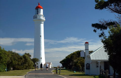 Split Point Lighthouse Tours Aireys Inlet - Accommodation Newcastle 0