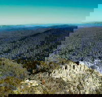 Tapin Tops National Park - Accommodation Newcastle